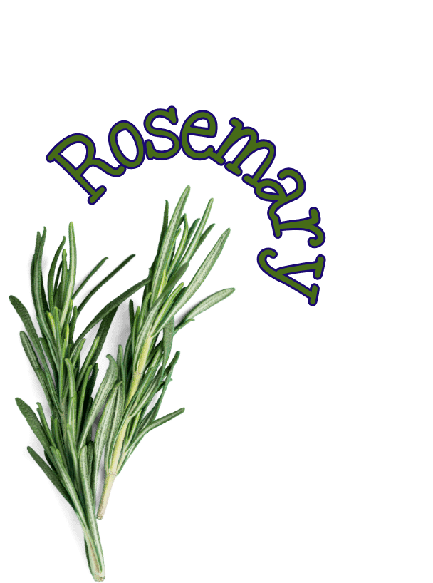 Rosemary rosemary